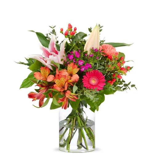 Rote Rosen – Das Symbol der Liebe und Leidenschaft in ihrer schönsten Form